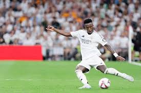 鄭智的職業 鄭智的職業